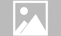 动漫黄在线观看,揭秘动漫世界中的禁忌诱惑